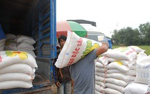 Gạo “tiểu ngạch” ồ ạt chảy sang Trung Quốc