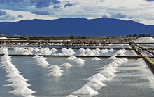 Chớm vụ muối đã lo