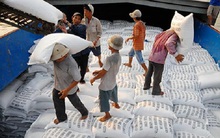 Xuất khẩu gạo: Một năm khó khăn