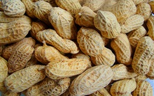 Đậu phộng rớt giá