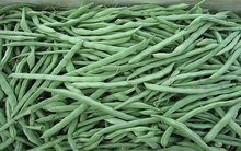 Đậu cô ve lãi khá