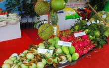 Nông sản được bảo hộ chỉ dẫn địa lý: Bí đầu ra, chịu giá thấp