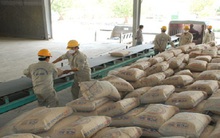Thị trường xi măng vẫn đầy cạnh tranh