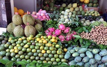 Nắng cháy: Chanh, dừa vừa bán vừa la vẫn đắt hàng