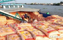 Xuất khẩu nông, lâm - thủy sản 5 tháng đạt 12,12 tỷ USD