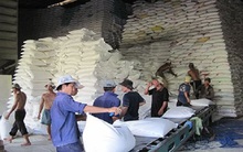 Bẫy nhập khẩu gạo từ Trung Quốc