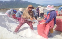 Muối Khánh Hòa bớt "chát"
