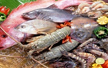 Thủy sản nhiễm độc: vừa ăn vừa sợ