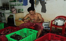 Thực hư "cua biển Cà Mau" bán siêu rẻ