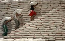 Vụ 2,9 triệu tấn gạo 'mất tích': Thái Lan kiểm tra 1.800 kho gạo