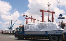 Liệu giá phân bón có biến động?