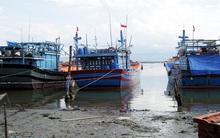 Tàu thuyền nằm bờ chờ giá cá
