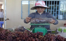 Nho an toàn đắt khách