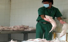 Thực phẩm nhập lậu: Tiềm ẩn nhiều nguy hại