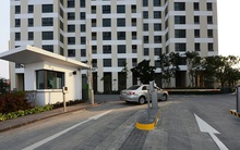 STDA khuyến khích “Sống thử”