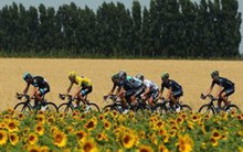 Hoạt động sản xuất hồi phục trên toàn eurozone