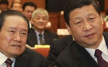 Hồ sơ mang tên Chu Vĩnh Khang - Kỳ cuối: Siết chặt gọng kìm