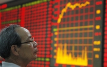 Thuần phục con gấu Trung Quốc