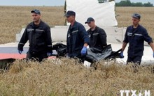 Ngoại trưởng các nước ra tuyên bố chung về vụ máy bay MH17