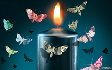 Ngân hàng trong bóng tối có lợi hay có hại?