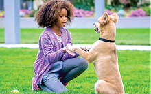 Sony lại bị tin tặc tấn công