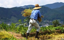 Canh bạc của nước Mỹ