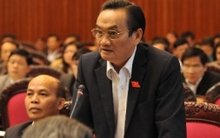 Không cần thiết có thương hiệu vàng quốc gia