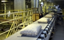 Tiêu thụ xi măng tăng trở lại