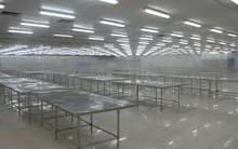 Từ đầu tháng 10, hàng loạt nhà máy cá tra phải đóng cửa