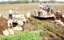 Đầu Xuân- Trúng mùa khoai lang tím