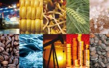 Chính phủ yêu cầu nghiên cứu, đánh giá đặc điểm tình hình thị trường hàng hóa