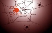 Sở hữu chéo và hệ lụy đối với ngân hàng