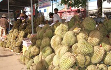 Khách hàng ngoại chuộng trái cây Đồng Nai