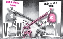 Sở hữu chéo tự nó không có lỗi