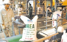 Tồn kho phân ure tăng cao 