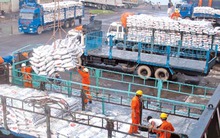 Teo tóp thị trường xuất khẩu gạo