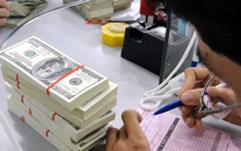 Tỷ giá được dự báo ổn định tới hết quý 1/2015