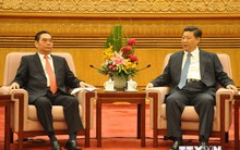 Ông Lê Hồng Anh hội kiến Chủ tịch Trung Quốc Tập Cận Bình