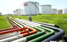 Nhiều yếu tố gây sức ép lên thị trường xăng dầu cuối năm