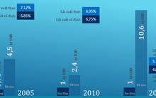 [INFOGRAPHIC] Việt Nam đã huy động 2,75 tỷ USD trái phiếu quốc tế như thế nào?
