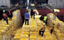 Thái Lan lỗ bao nhiêu trong toàn bộ chương trình trợ giá gạo?