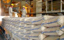 Sản xuất, tiêu thụ xi măng tăng mạnh, nhiều doanh nghiệp báo lãi