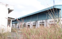 Agribank Đồng Nai: Vung tay cho vay, ngập đầu nợ xấu