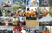 FDI ở Việt Nam: Dòng vốn đang đổ về đâu?