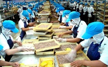 Năng suất lao động thấp, Thủ tướng sốt ruột