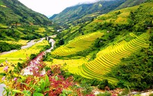 Thuê tư vấn nước ngoài lập quy hoạch Sa Pa