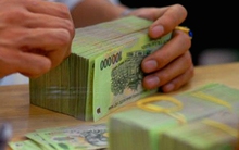 11 tháng, thu ngân sách nhà nước đạt 97,1% dự toán