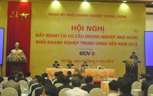 "Tiến độ tái cơ cấu DNNN rất chậm, kết quả rất hạn chế"