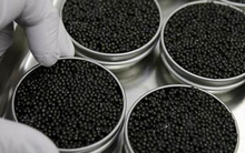 Trứng cá muối siêu sang – “Vàng đen" trên bàn tiệc