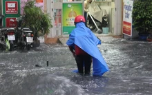 8 lãnh đạo hưởng lương 'khủng' bị đình chỉ chức vụ 